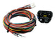 Kit contrôleur multi-entrées eau/méthanol V2- 0-