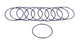 Filter O-Rings (10)