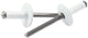 Rivet Lg Hd Blanc 250pk Multi Grip