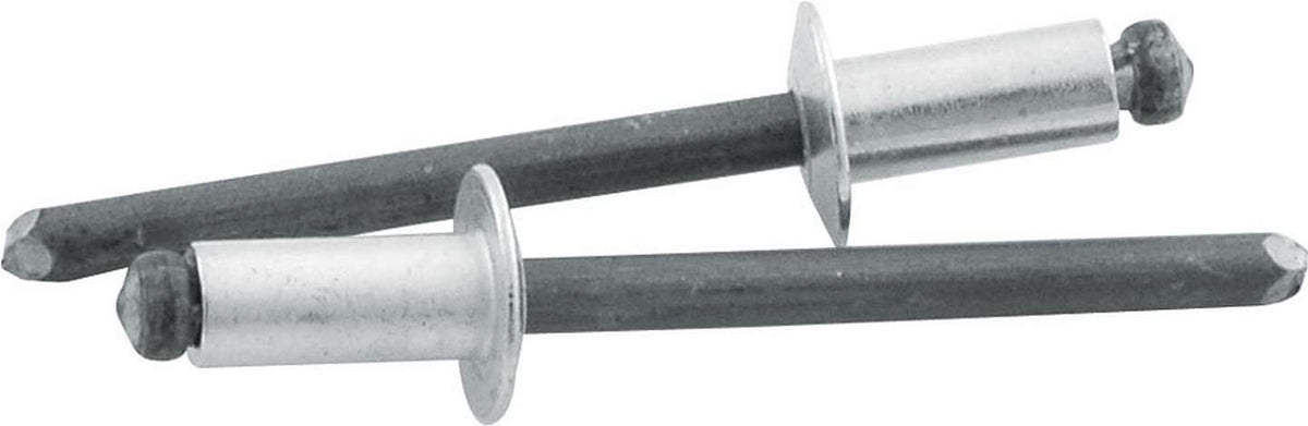 Rivet HD petit argent 250 pces