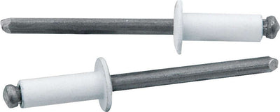 Rivet Sm Hd Blanc 250mcx