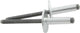 Lg Hd Rivet Silver 250pk