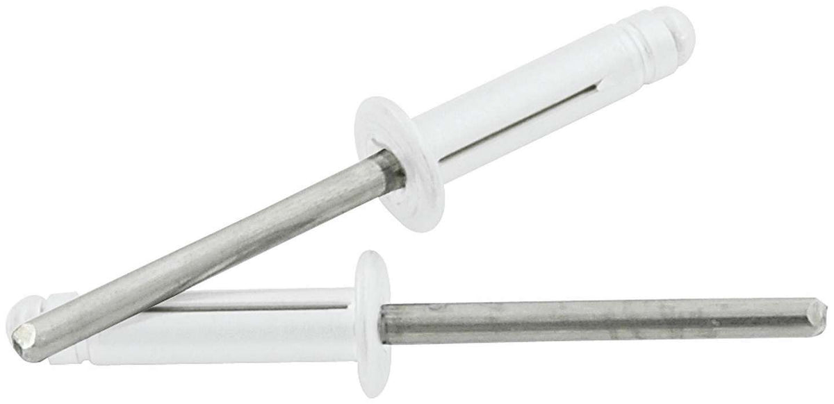 Rivet T/F T/M Collerette Argent Mandrin Acier Inox