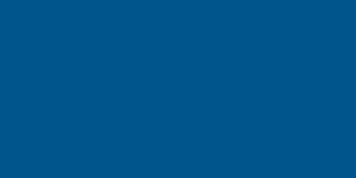 Chevron plastique bleu 4x8 0,100 po
