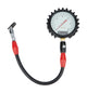 Manomètre de pression des pneus 0-30 PSI 4 po Phosphorescent