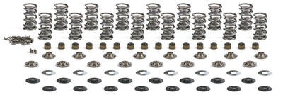 GEN V LT4 Platinum Dual Spring Kit .660in Lift
