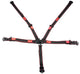 Harness 5pt L&L P/U 2in Black