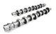 Jeu d'arbres à cames Ford 4.6L/ 5.4L 2V XE262BH-16