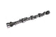 Arbre à cames à rouleaux pleins SBC 290A-R6