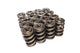 Ressorts de soupape - Triple 1,686 po