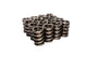Ressorts de soupape pour piste ovale