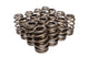 Ressorts de soupape en nid d'abeille 1.590