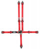 Ceinture ventrale 5 points L&L 2 pouces à réglage par tirage vers le haut TOUS N/B & B/