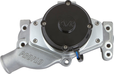 Pompe à eau électrique SBC 55gpm