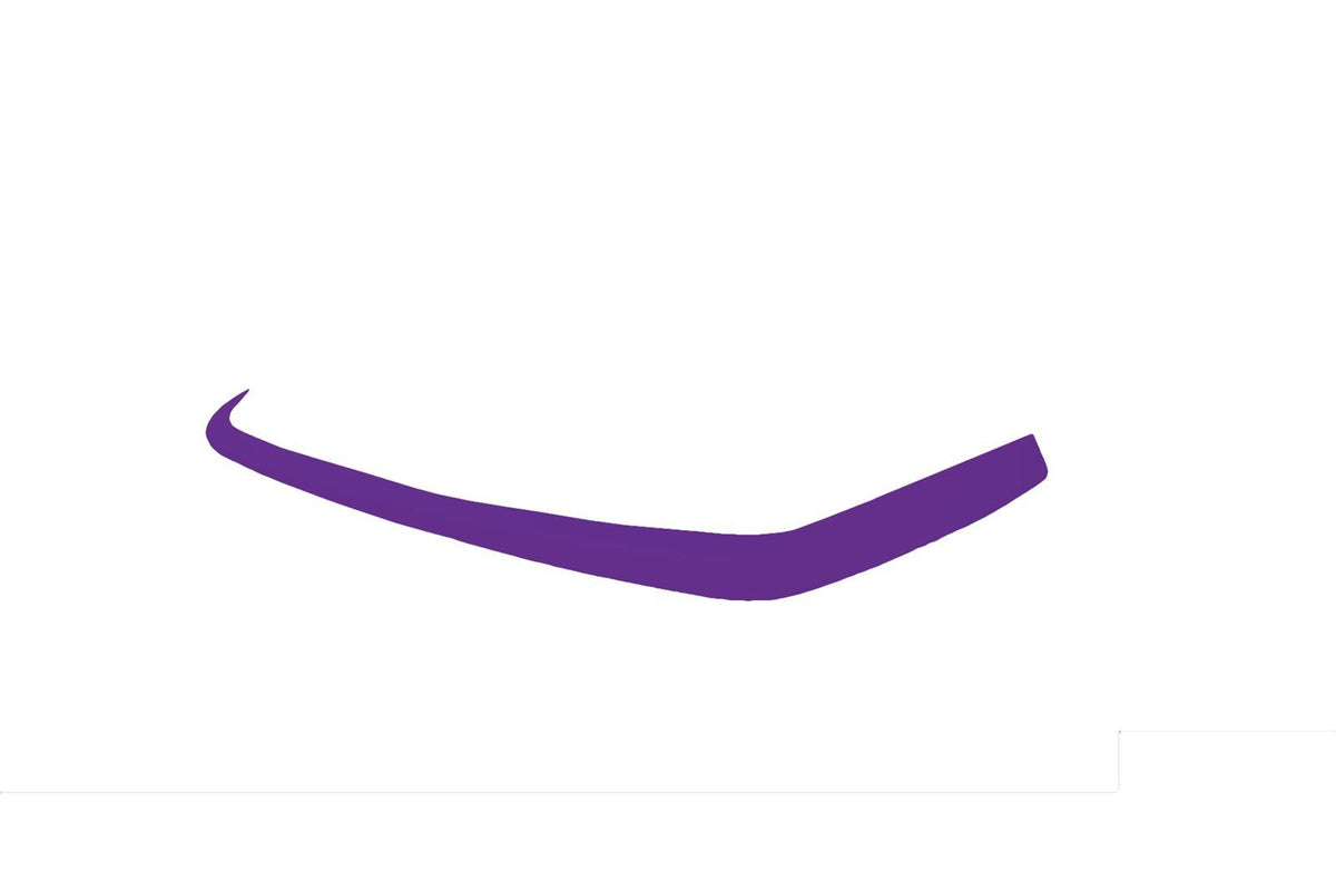 Couverture de jupe Dominator Late Model violette
