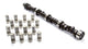 Kit arbre à cames et poussoirs SBC - 450/450-110 durée 274