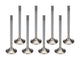 LS1 1.600 C/P Exhaust Valves 5/16 x 5.015 OAL