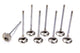Acura C/6 28mm Exhaust Valves