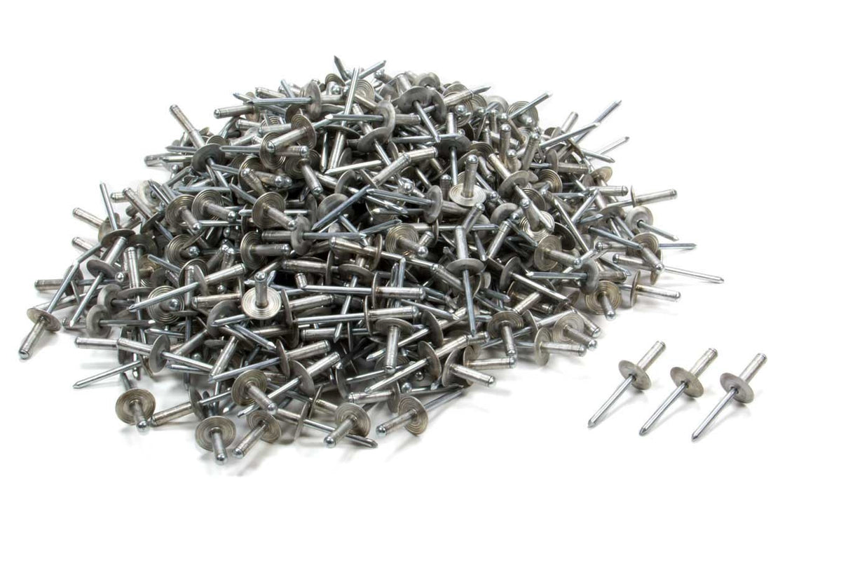 Grande tête de rivet argent 500p 3/16in