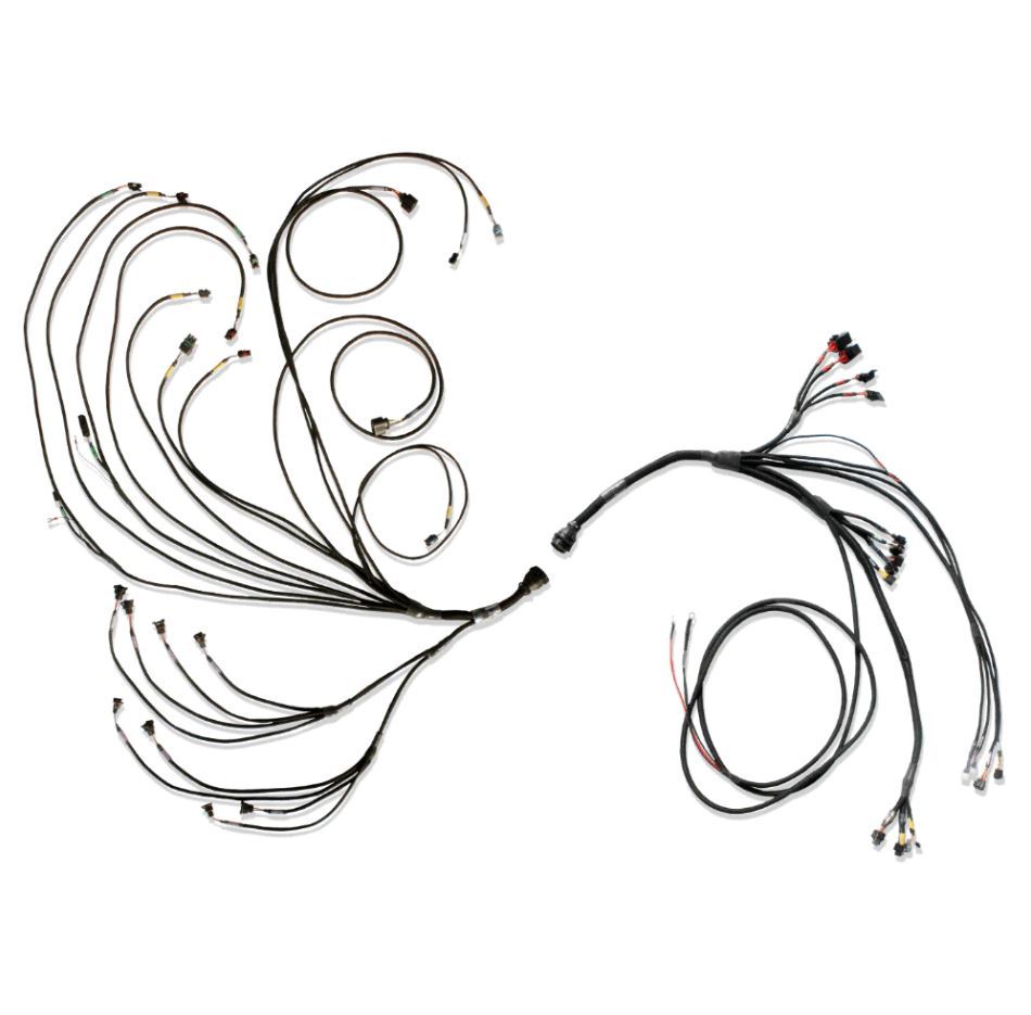 Faisceau complet PRO600 Ford V8