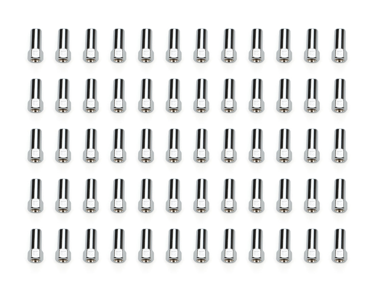 60 Lugnuts SST OE LUG 13/16in 1/2 C