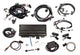 EFI Terminator X Max Ford 2V Mod