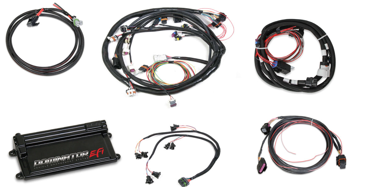 Kit Dominator EFI - LS2 avec contrôleur de transmission et DBW
