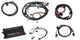 Kit Dominator EFI - LS2 avec contrôleur de transmission et DBW