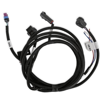 Faisceau de câblage de transmission Tremec TKX/TKO Term-X Max
