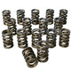 Ressorts de soupape doubles - 1,437