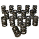 Ressorts de soupape doubles - 1,500