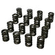 Ressorts de soupape doubles 1,550