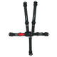 Retenue 5 points B/B 5cm P/UÉpaules ind. avec ceinture sous-abdominale