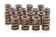 Ressorts de soupape de 1,530 po