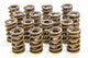 Ressorts de soupape de 1,560 pouce