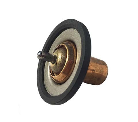 Thermostat basse température 180 degrés