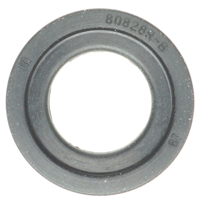 Oil Drain Plug Gasket 20+ Ford 7.3L