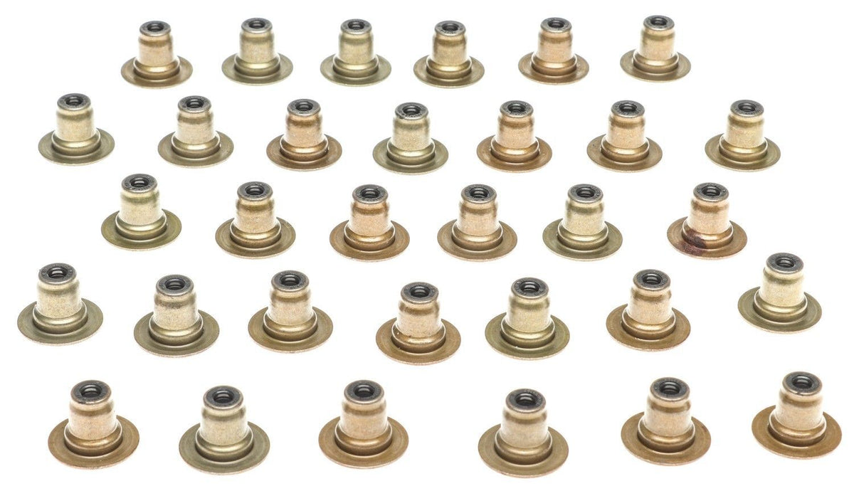 Valve Stem Oil Seal Set 18-24 Ford 5.0L