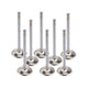 1.600 R/M Exhaust Valves 5/16 5.040 AOL