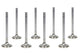 SBC E/D 1.600 Exhaust Valves 11/32 5.165 OAL