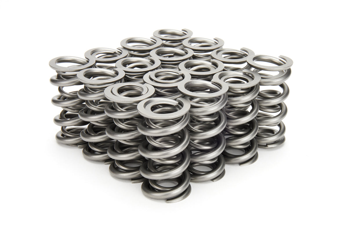 1.500 Ressorts de soupape doubles NexTek