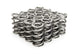1.500 Ressorts de soupape doubles NexTek