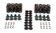 Valve Spring Kit GM LS