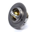Thermostat haut débit 170 degrés