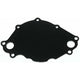 SBF Back Plate - Black