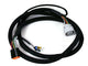 Faisceau GM4L60-85E 93-Up (4L70 06-09)