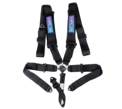 Harnais 5 points Camlock noir avec coussinets SFI 16.1