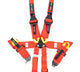 Harnais 6 points Camlock Rouge Hans FIA