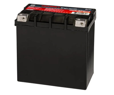 Batterie Powersports 12 V 220 CCA