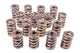1.244 Dual Valve Springs (16)